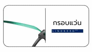 ประกัน lindberg